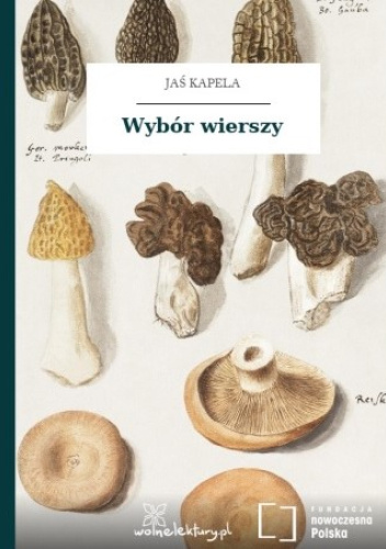 Wybór wierszy