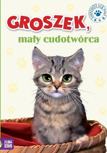 Groszek, mały cudotwórca