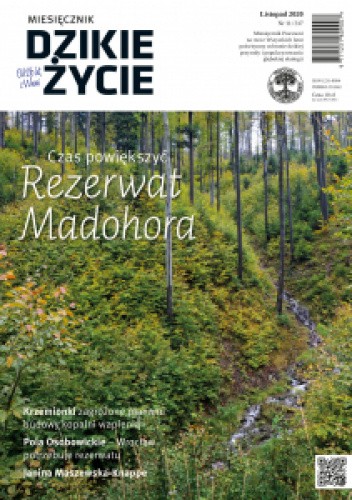Dzikie Życie 2020, nr 11 (317) listopad