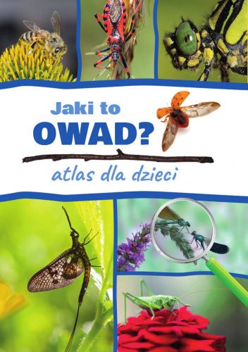 Jaki to owad? Atlas dla dzieci
