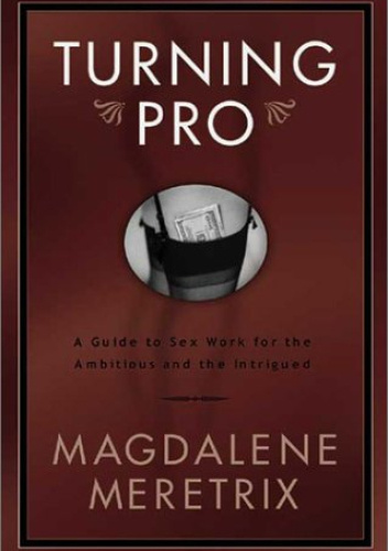 Turning Pro: A Guide to Sex Work for the Ambitious and the Intrigued