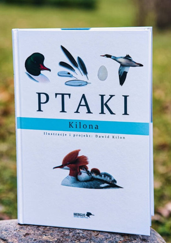 Ptaki Kilona