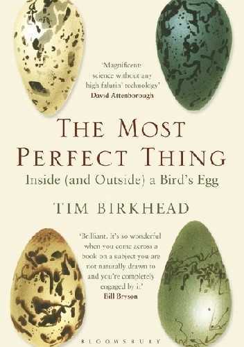 The Most Perfect Thing Inside (and Outside) a Bird’s Egg