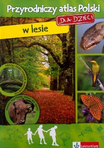 W lesie