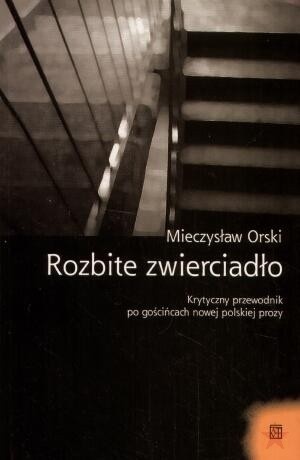 Rozbite zwierciadło: Krytyczny przewodnik po gościńcach nowej polskiej prozy