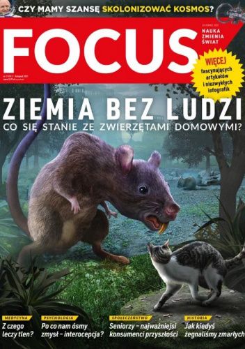 Focus 11/2021