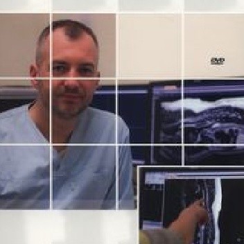 Pacjent neurologiczny w gabinecie weterynaryjnym