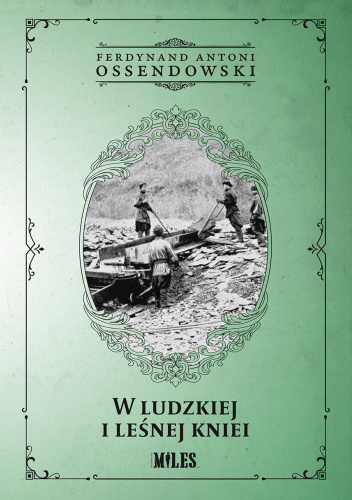 W ludzkiej i leśnej kniei