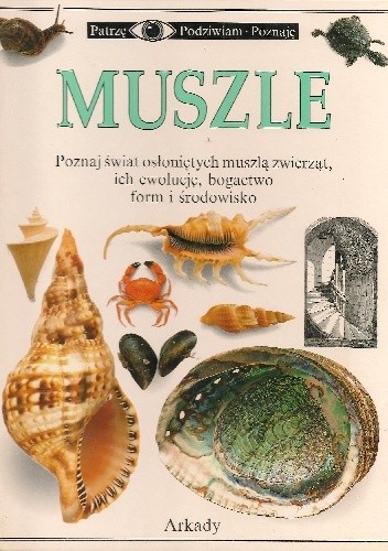 Muszle