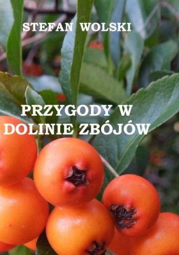 Przygody w Dolinie Zbójów