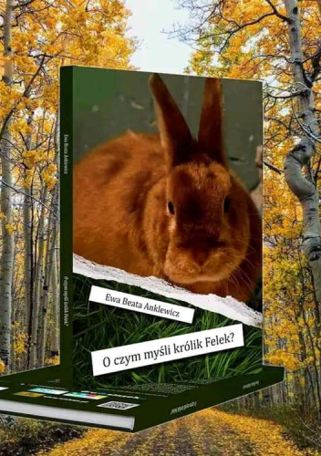 O czym myśli królik Felek?
