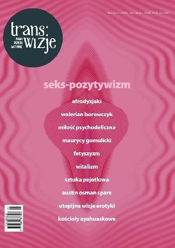 Trans/wizje nr 6