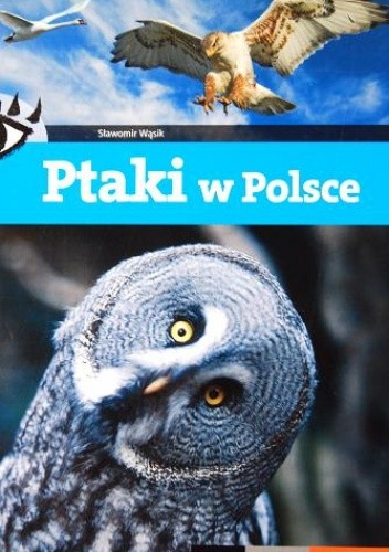 Ptaki w Polsce