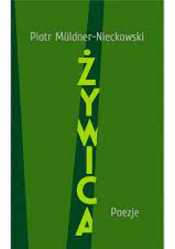 Żywica