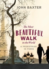 The most beautiful walk in the world. Pedestrian in Paris.