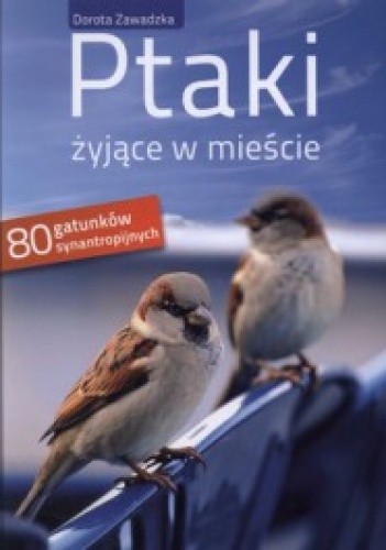 Ptaki żyjące w mieście