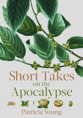 Short Takes on the Apocalypse