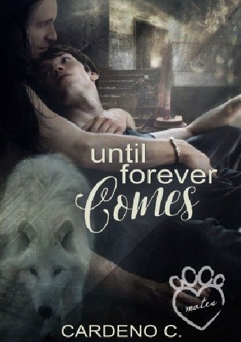 Until Forever Comes