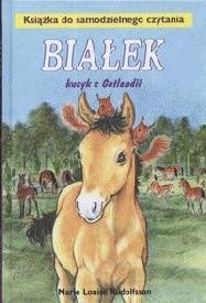 Białek kucyk z Gotlandii
