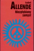 Niezgłębiony zamysł