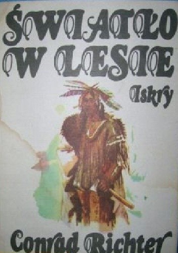 Światło w lesie