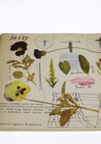 Ja i Ty. Antologia wierszy miłosnych polskich poetek współczesnych