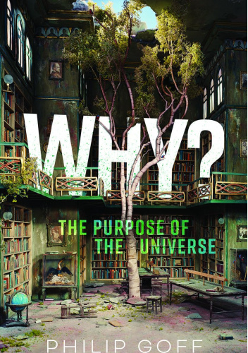 Why? The Purpose of The Universe