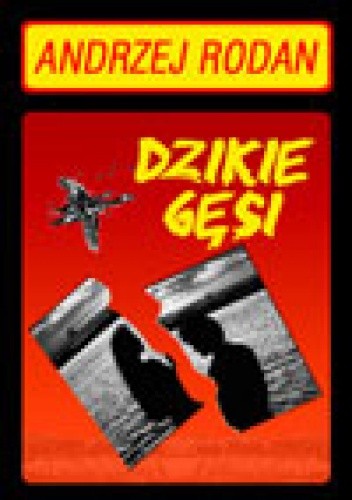 Dzikie gęsi