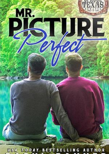 Mr. Picture Perfect