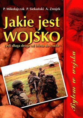 Jakie jest wojsko, czyli długa droga od biletu do cywila