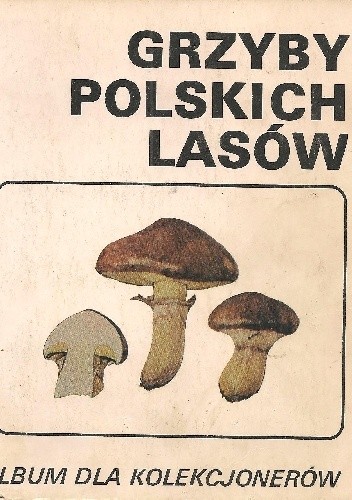 Grzyby polskich lasów