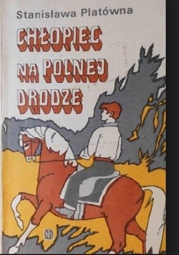 Chłopiec na polnej drodze