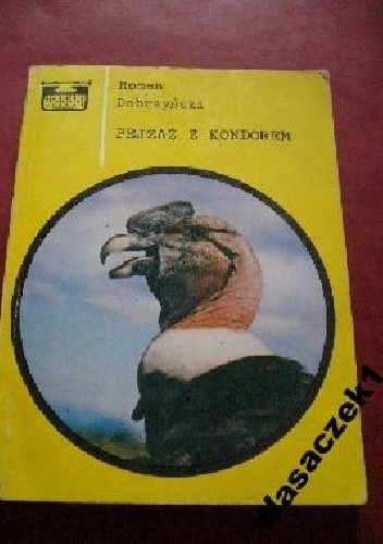 Pejzaż z kondorem