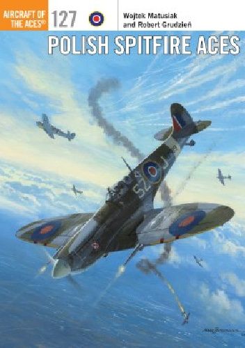 Polish Spitfire Aces