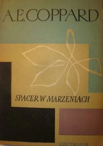 Spacer w marzeniach