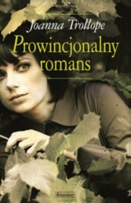 Prowincjonalny romans