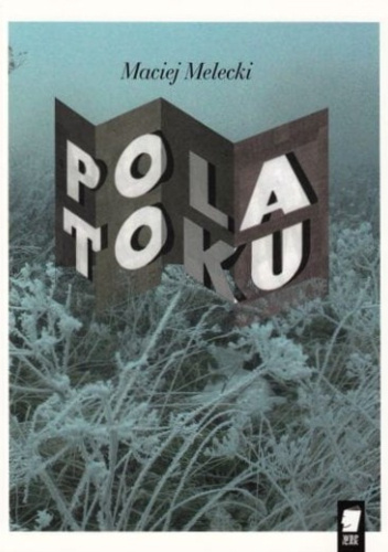 Pola toku