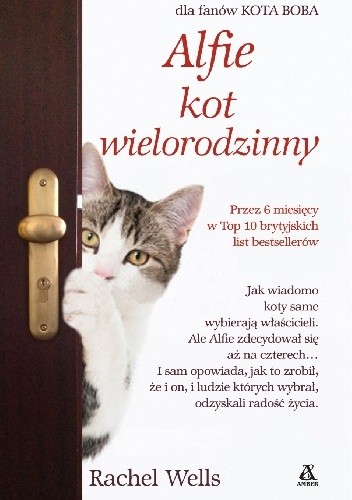 Alfie kot wielorodzinny