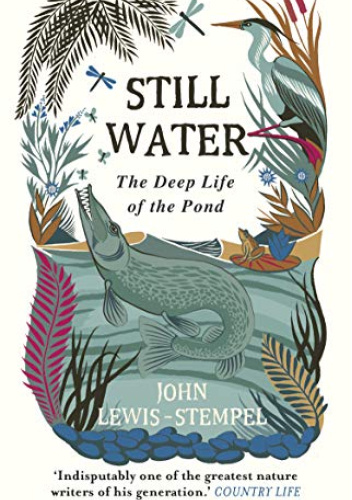 Still Water: The Deep Life of the Pond