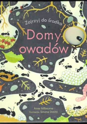 Domy owadów. Zajrzyj do środka.