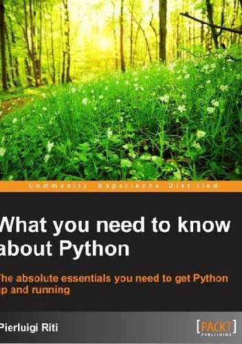 What you need to know about Python