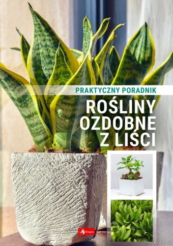 Rośliny ozdobne z liści. Praktyczny poradnik