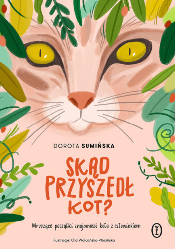 Skąd przyszedł kot?
