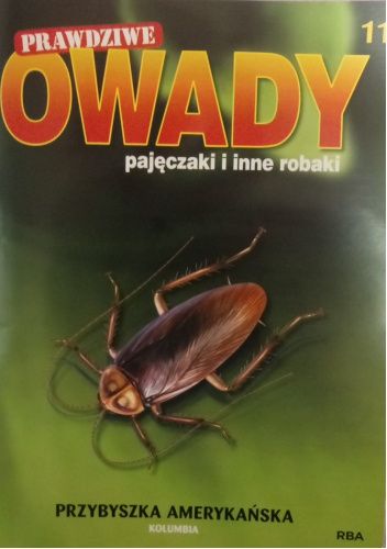 Przybyszka amerykańska