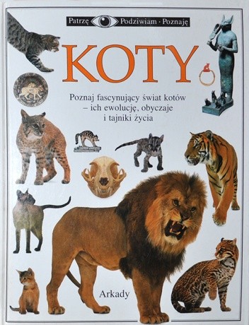 Koty