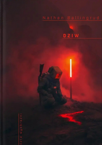 Dziw