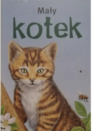 Mały kotek