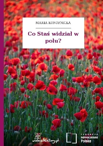 Co Staś widział w polu?