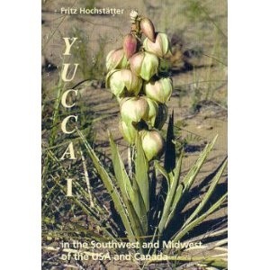 Yucca I