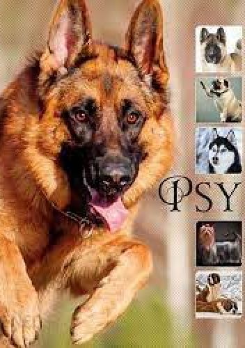 Psy